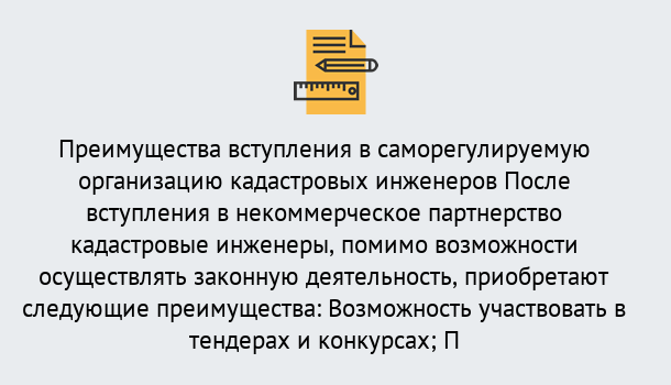 Почему нужно обратиться к нам? Назарово Что дает допуск СРО кадастровых инженеров?