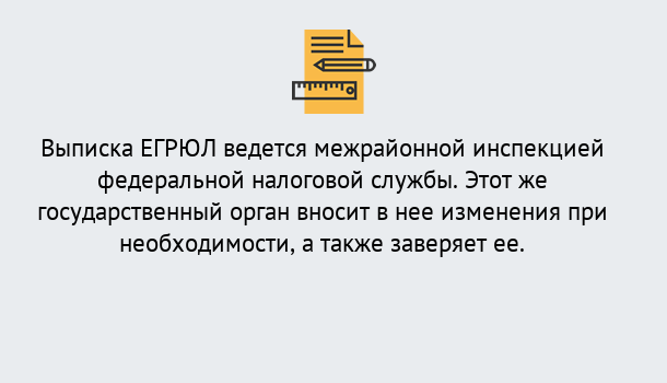 Почему нужно обратиться к нам? Назарово Выписка ЕГРЮЛ в Назарово ?