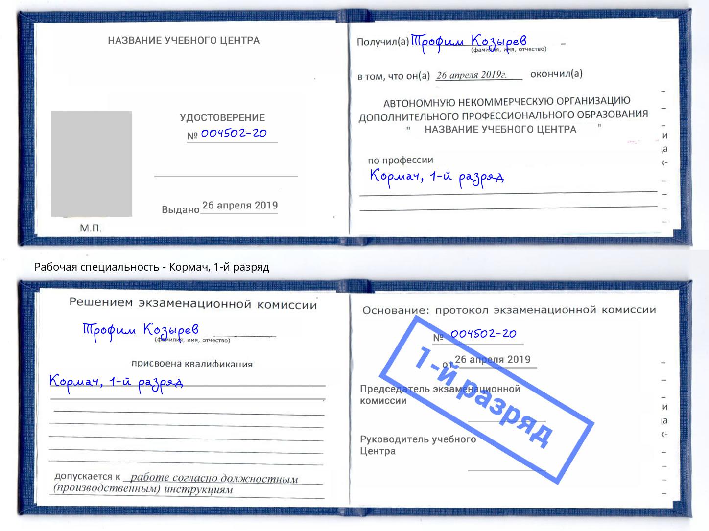 корочка 1-й разряд Кормач Назарово