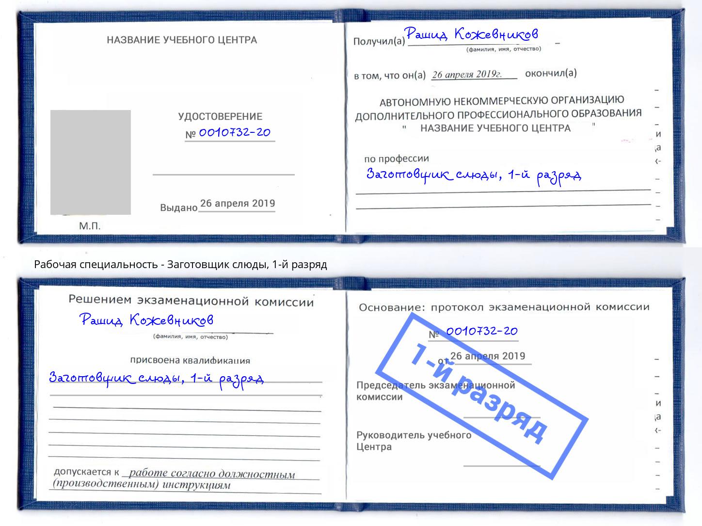 корочка 1-й разряд Заготовщик слюды Назарово